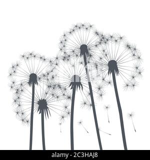 Dandelion composition. Vector Illustration. EPS file. Stock Vector