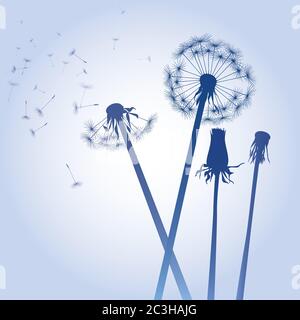 Dandelion on colour background. Vector illustration. EPS file. Stock Vector