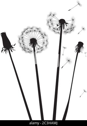 Dandelion composition. Vector Illustration. EPS file. Stock Vector