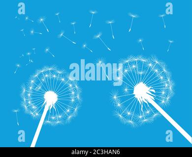 Dandelion on colour background. Vector illustration. EPS file. Stock Vector