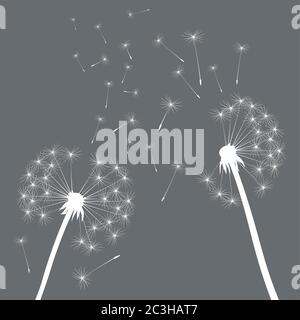Dandelion on colour background. Vector illustration. EPS file. Stock Vector