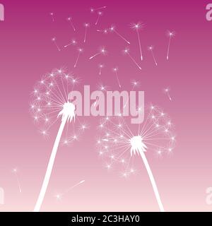 Dandelion on colour background. Vector illustration. EPS file. Stock Vector