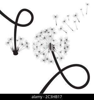 Dandelion composition. Vector Illustration. EPS file. Stock Vector