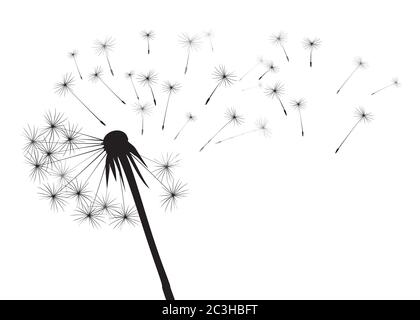Dandelion composition. Vector Illustration. EPS file. Stock Vector