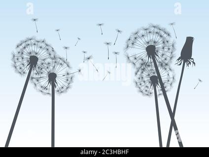 Dandelion on colour background. Vector illustration. EPS file. Stock Vector