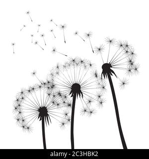 Dandelion composition. Vector Illustration. EPS file. Stock Vector