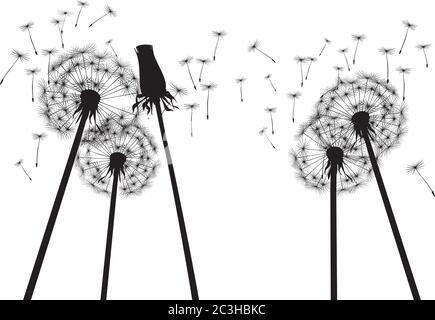 Dandelion composition. Vector Illustration. EPS file. Stock Vector