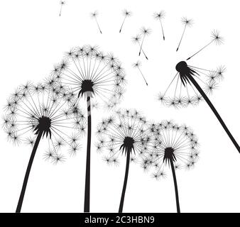 Dandelion composition. Vector Illustration. EPS file. Stock Vector