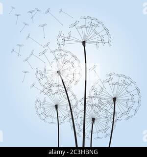 Dandelion on colour background. Vector illustration. EPS file. Stock Vector
