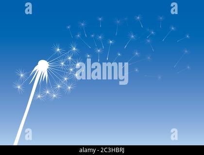 Dandelion on colour background. Vector illustration. EPS file. Stock Vector
