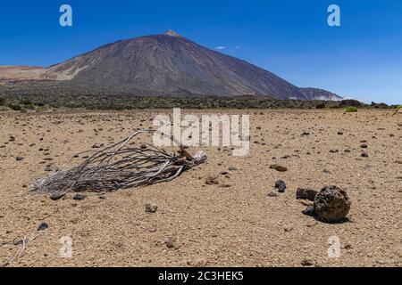 Teide national park volcanic landscape, with dry branches on arid surface, Tenerife, Canary islands, Spain Stock Photo