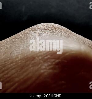 Close up detail of human skin with hair. Mans hairy leg Stock Photo - Alamy