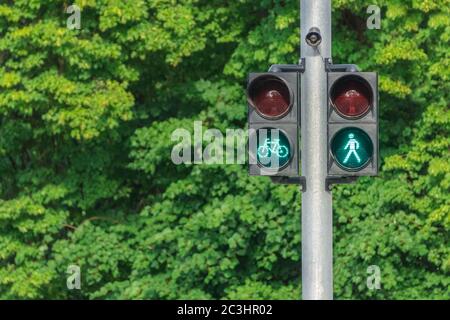 Green traffic lights for pedestrians and cyclists on green trees foliage. Safety on roads concept. Life insurance. Stock Photo