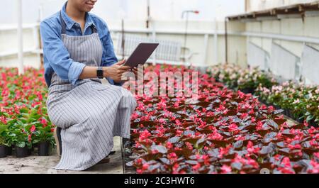 Modern profession farmer and gardener. African american girl in apron makes photo of flowers in greenhouse Stock Photo