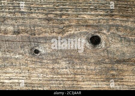Burnt out in the sun retro style vintage brown wooden texture with two black snags horizontal front view close-up Stock Photo