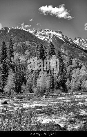 Grayscale shot of a river surrounded by mountains and a lot of trees under a cloudy sky Stock Photo