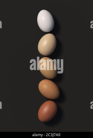 Five multi colored chicken eggs lie in a row on a black background. Top view. 3D render. Stock Photo