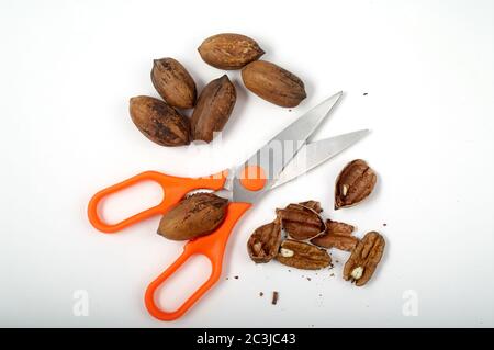 Some pecan nuts and kitchen scissors with nutcracker isolated on white background Stock Photo
