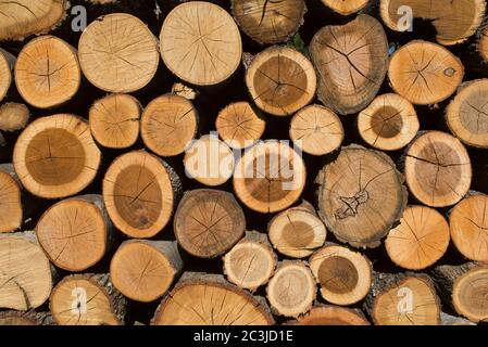 Pile of Wood, Wood Stack,Italy Stock Photo