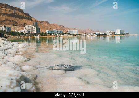 Garbage in salt water on the shore of dead sea. Pollution of natural monuments. Environmental problems of the planet. A dead bird in the dead sea Stock Photo