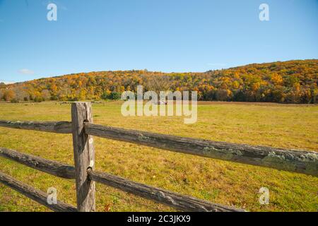 From American country road a rural landscape with farmhouse in distance beyond rustic post and rail fence in Kent county, New England USA.