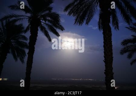 Silhouettes of palm trees in the desert against night sky with the moon and the city in dalik. Stock Photo