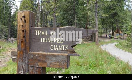 Sign at the entrance to the Trail of 100 Giants in Sequoia National Forest Stock Photo