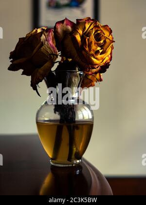 Vertical shot of dried roses in the vase Stock Photo