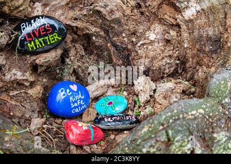 Painted stone tokens of encouragement and hope placed in a rotting tree along the Steveston waterfront Stock Photo
