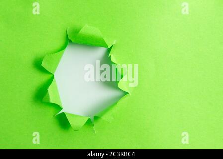 Rolled Ripped Torn Cardboard Placed Above A Wooden Classic Table Backdrop Stock Photo