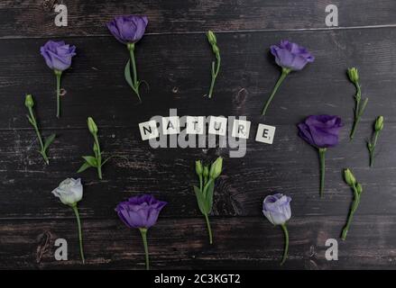 Nature made of scrabble blocks surrounded by purple lisianthus flowers on a wooden surface Stock Photo