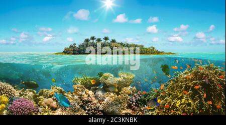 Beautiful sunny tropical beach on the island paradise and underwater world with coral fishes. Stock Photo