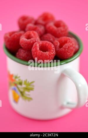 Fresh juicy raspberries into white cup mug close up isolated on pink background. Stock Photo
