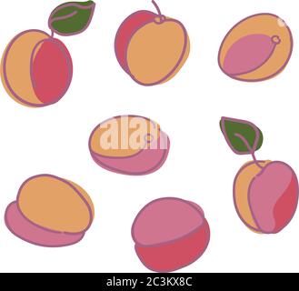 Vector set with apricots, organic food concept. Stock Vector