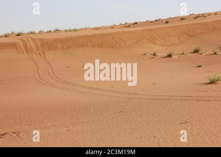 4WD (four wheel drive) vehicle tire tracks imprinted in Arabian desert sand dunes from off-roading, dune bashing activity. Stock Photo