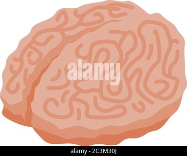 Zombie brain icon, isometric style Stock Vector