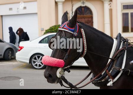 VALLETTA, MALTA - DEC 31st, 2019: Horse drawn carriage in the city centre of Valletta Stock Photo