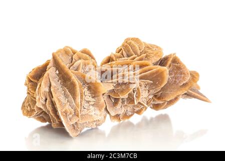 Desert rose, rock composed of gypsum, water and sand, formed in the deserts in very beautiful crystals shape on white background. with clipping path. Stock Photo