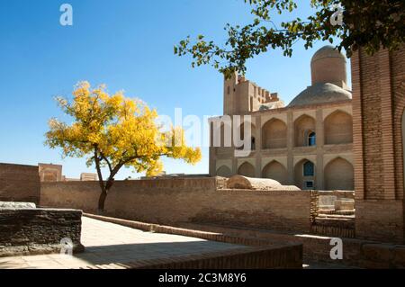 View over the memorial complex of Chor-Bakr (necropolis), also called the city of dead, with beautiful golden yellow tree, Bukhara, Uzbekistan Stock Photo