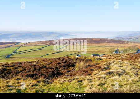A lone sheep nestles in the grass and heather near Stanage Edge. Further out a veil of fog covers the countryside Stock Photo
