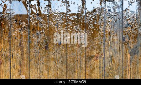 panoramic view of indoor wet wooden floor from varnished spruce floorboard flooded by rain Stock Photo