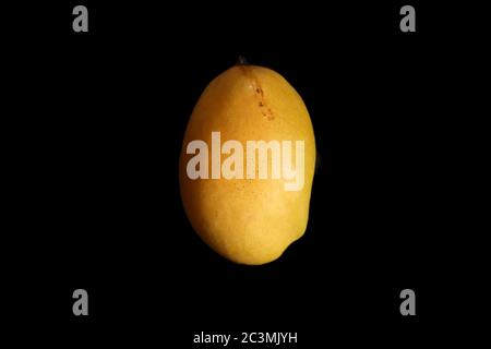 Mango. Alphonso tropical mango top view isolated against a black background. Stock Photo