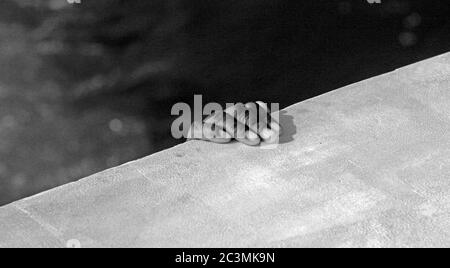 Monochrome image of a man's hand appearing over the edge of an awning at the rear of a boat. Stock Photo