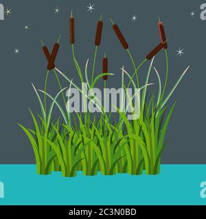 Bunch of reed bushes in the water vector illustration at night time dark style. isolated on white. Nature art work for cartoon props and landscape dec Stock Vector