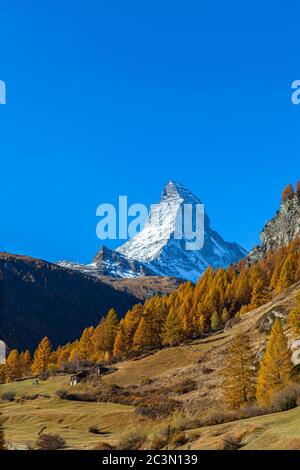 Stunning view of the famous Matterhorn peak of Swiss Alps from Zermatt valley on sunny autumn day with golden trees and grass in foreground, Valais, S Stock Photo