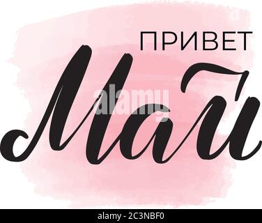 Web Stock Vector