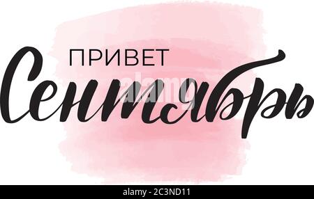 Web Stock Vector