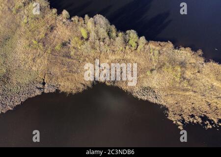 Aerial shot of overgrown riverside. Plants and trees, water surface, aerial shot of river or lake, top view. Picturesque landscape at sunny spring day Stock Photo