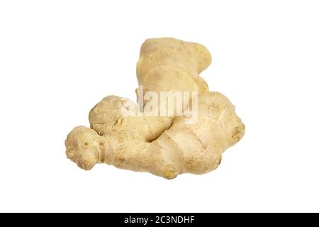 Ginger rhizome isolated on white background. One fresh ginger root Stock Photo