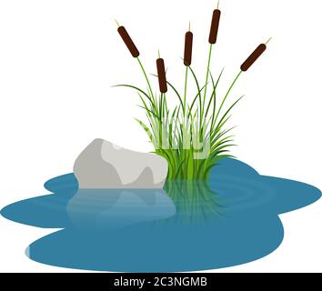 Bush reeds with stone on the water. Reeds stern and grey stone reflected in the lake water with water rounds. Bush reeds and stone vector on the water Stock Vector